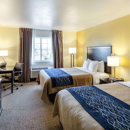 Comfort Inn & Suites Texas Hill Country Boerne Buitenkant foto