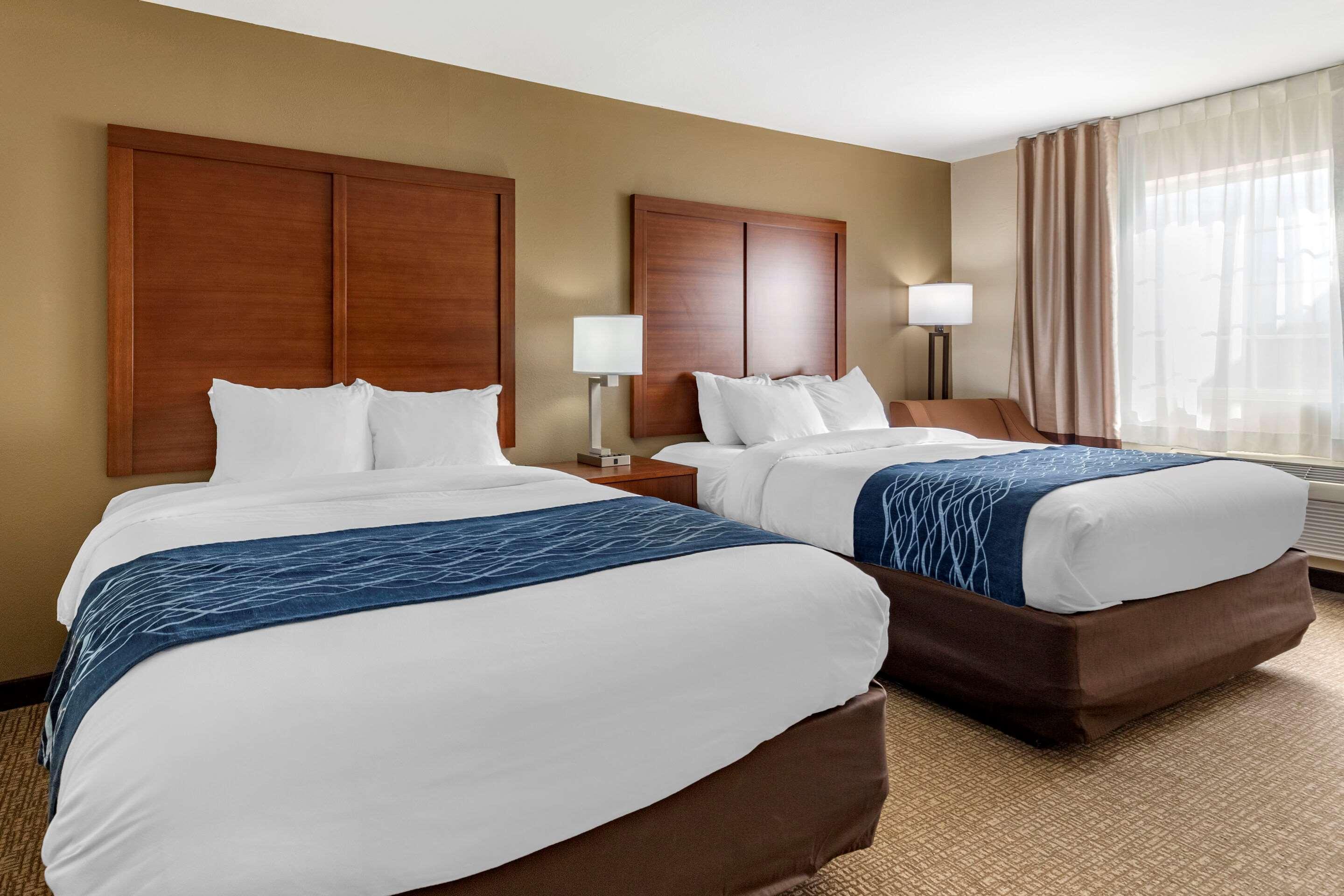 Comfort Inn & Suites Texas Hill Country Boerne Buitenkant foto
