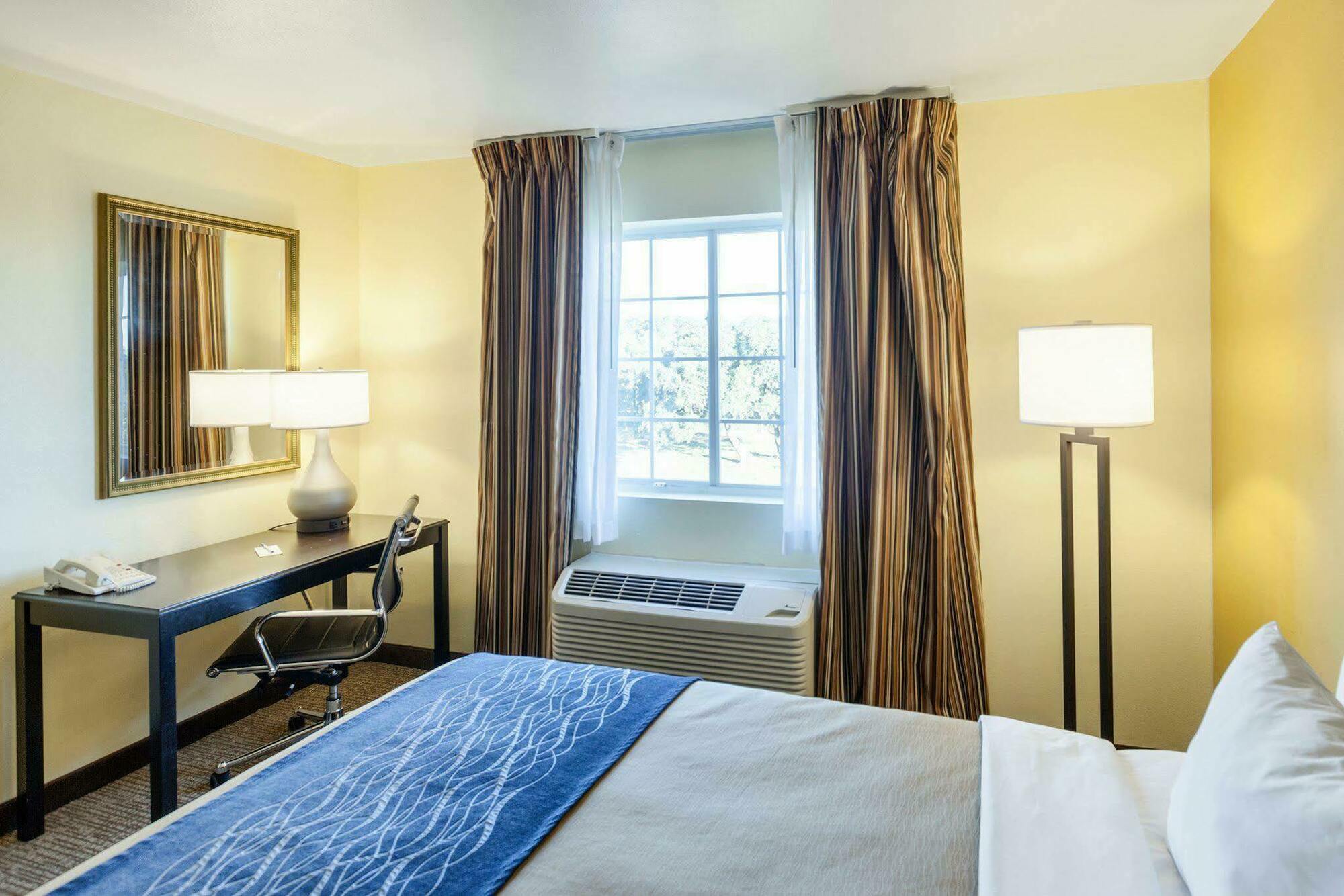 Comfort Inn & Suites Texas Hill Country Boerne Buitenkant foto
